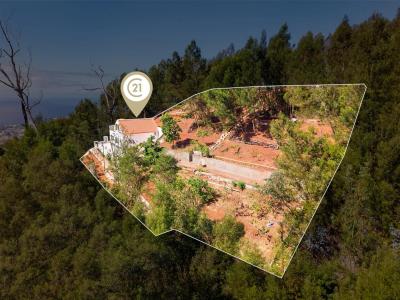 Funchal, Madeira 9050-046, Portugal