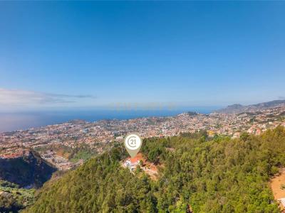 Funchal, Madeira 9050-046, Portugal