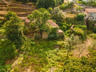 Cinfães, Viseu 4690-563, Portugal