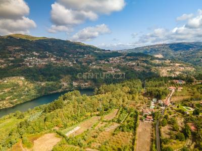 Cinfães, Viseu 4690-563, Portugal