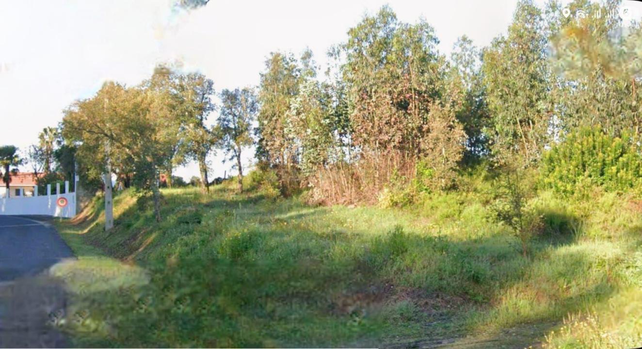 Sardoal, Santarém 2231-909, Portugal