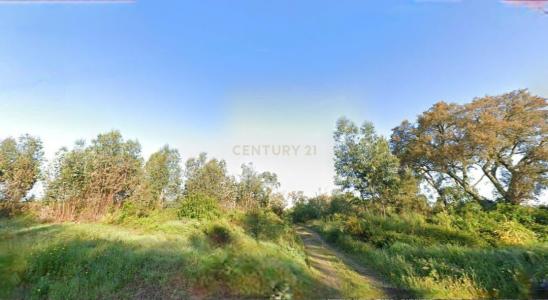 Sardoal, Santarém 2231-909, Portugal