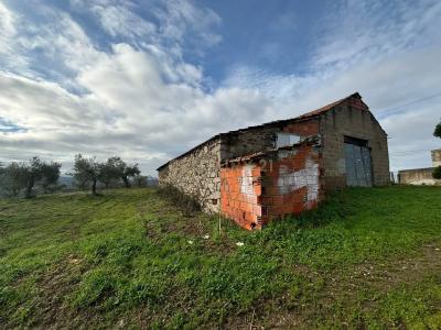 Mirandela, Bragança 5370-102, Portugal