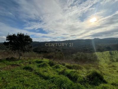 Mirandela, Bragança 5370-102, Portugal