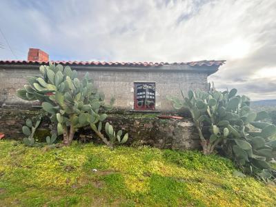 Mirandela, Bragança 5370-102, Portugal