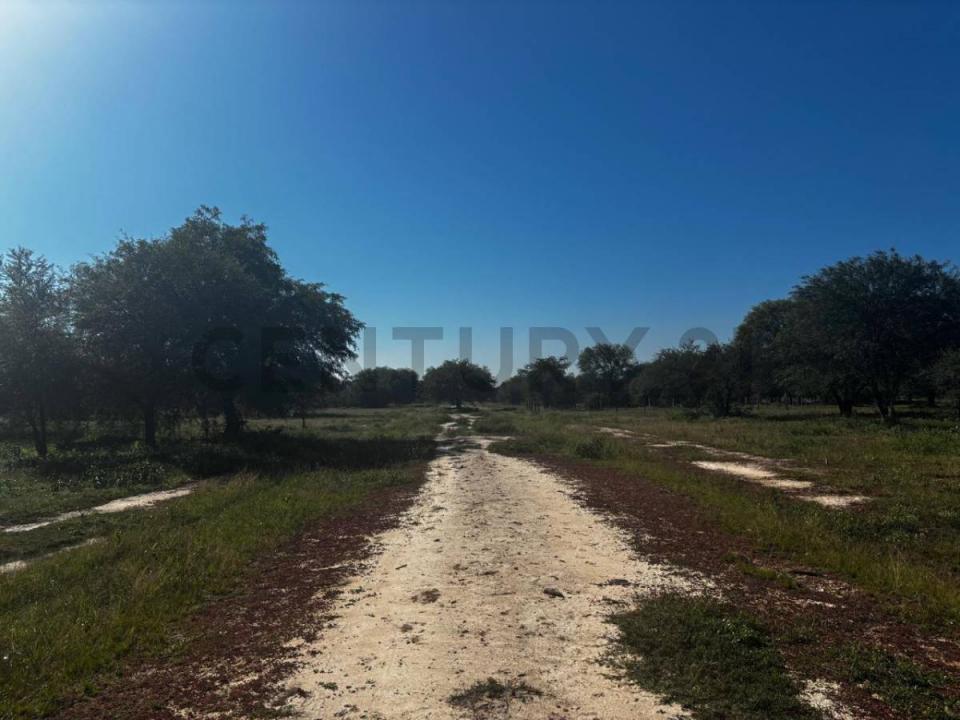 fotografos paraguayos , José Falcón, Presidente Hayes 00001, Paraguai