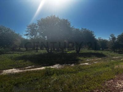 fotografos paraguayos , José Falcón, Presidente Hayes 00001, Paraguai