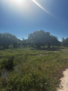fotografos paraguayos , José Falcón, Presidente Hayes 00001, Paraguai