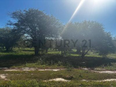 fotografos paraguayos , José Falcón, Presidente Hayes 00001, Paraguai