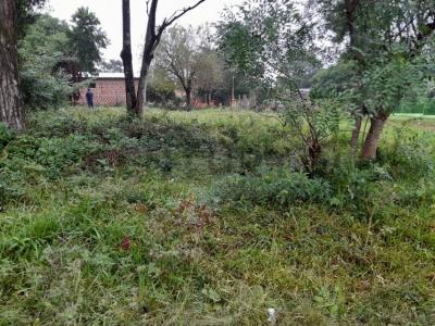 Fracción San Lázaro , Julián Augusto Saldívar, Central 00001, Paraguai