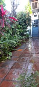 Sajonia, Asunción 1001, Paraguay