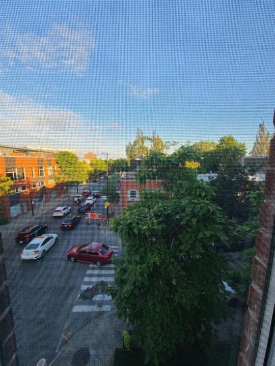 2256  Rue D'Iberville, Montréal (Ville-Marie), Quebec H2K 3C6, Canada