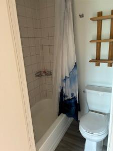 2256  Rue D'Iberville, Montréal (Ville-Marie), Quebec H2K 3C6, Canada