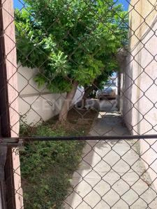 Cajeme, Sonora 85040, México