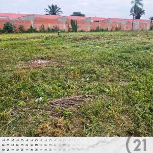 av. Banzer Km 8 1/2 ingresando por mainter LOTE 62 , Norte, Santa Cruz 0000, Bolivia