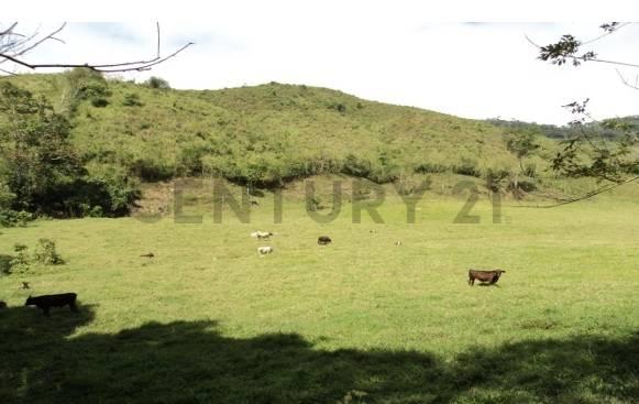 Yaracuy Venta de Finca en Nirgua, San Felipe, Yaracuy 3201, ベネズエラ