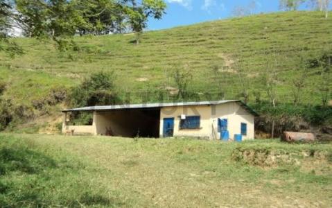 Yaracuy Venta de Finca en Nirgua, San Felipe, Yaracuy 3201, ベネズエラ