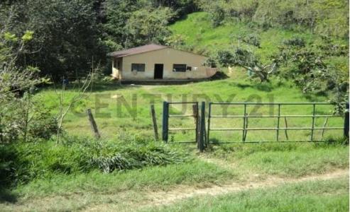 Yaracuy Venta de Finca en Nirgua, San Felipe, Yaracuy 3201, ベネズエラ