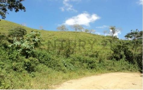 Yaracuy Venta de Finca en Nirgua, San Felipe, Yaracuy 3201, ベネズエラ