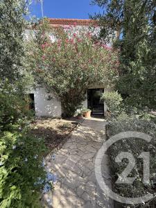 Frontignan, لانگدو – روسيو 34110, فرنسا