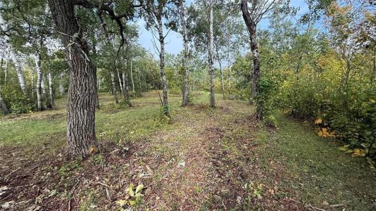 3102 MCLEOD PLACE, Lake Metigoshe, Манитоба R0M 0M0, Канада