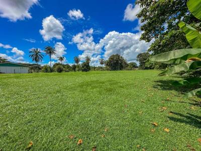 Palmar Sur Osa, Puntarenas 00001, Costa Rica