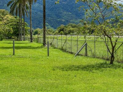 Palmar Sur Osa, Puntarenas 00001, Costa Rica