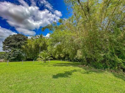 Palmar Sur Osa, Puntarenas 00001, Costa Rica