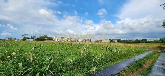 和興段, Hukou Township, Hsinchu County 303, Taiwan