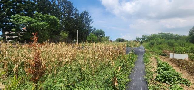 德和路, Hukou Township, Hsinchu County 303, Taiwan