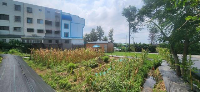 德和路, Hukou Township, Hsinchu County 303, 台湾