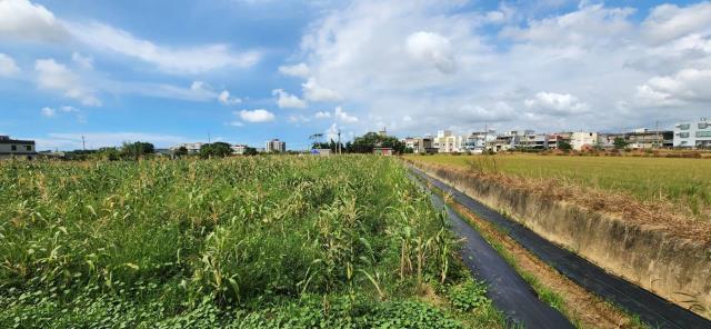 德興路, Hukou Township, Hsinchu County 303, 台湾