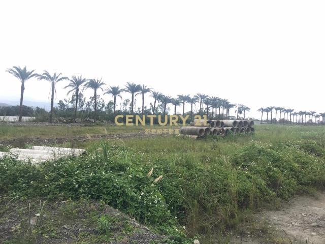 尚義北段, Sanxing Township, Yilan City 266, Taiwan