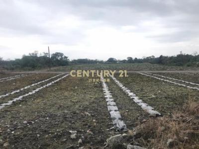 尚義北段, Sanxing Township, Yilan City 266, Taiwan