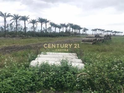 尚義北段, Sanxing Township, Yilan City 266, Taiwan