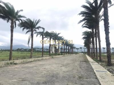 尚義北段, Sanxing Township, Yilan City 266, Taiwan