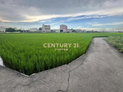 丁台三段, Wufeng Dist., 台中市 413, 台灣