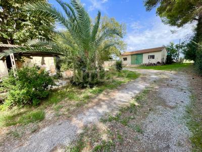 località quarto albegna, Manciano, Toscana 58014, Italien