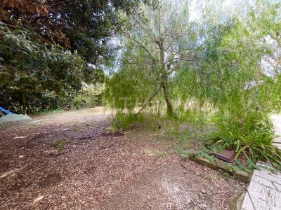 località quarto albegna, Manciano, Toscana 58014, Italien