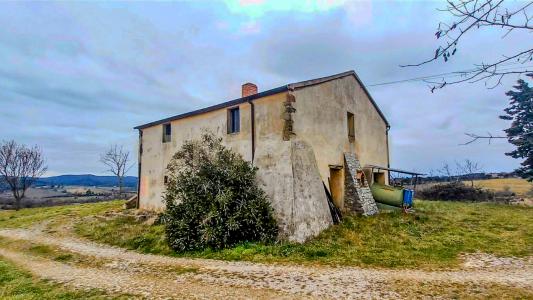 località mandorlaie, Scansano, Toscana 58054, Itália