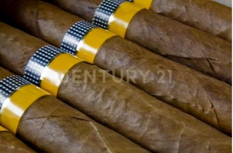 Viale della Libertà, Catania, Sicilia 95122, איטליה