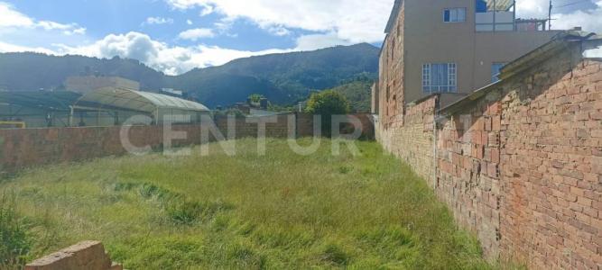 Cajica, Cundinamarca 00001, Colombia