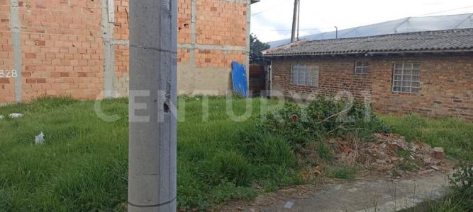 Cajica, 昆迪纳马卡 00001, 哥伦比亚