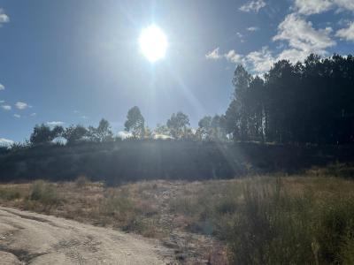 Amarante, Porto 4605-069, Portugal