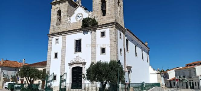 Benavente, 圣塔伦 2135-259, 葡萄牙