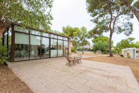 València/Valencia, Comunitat Valenciana 46901, ספרד