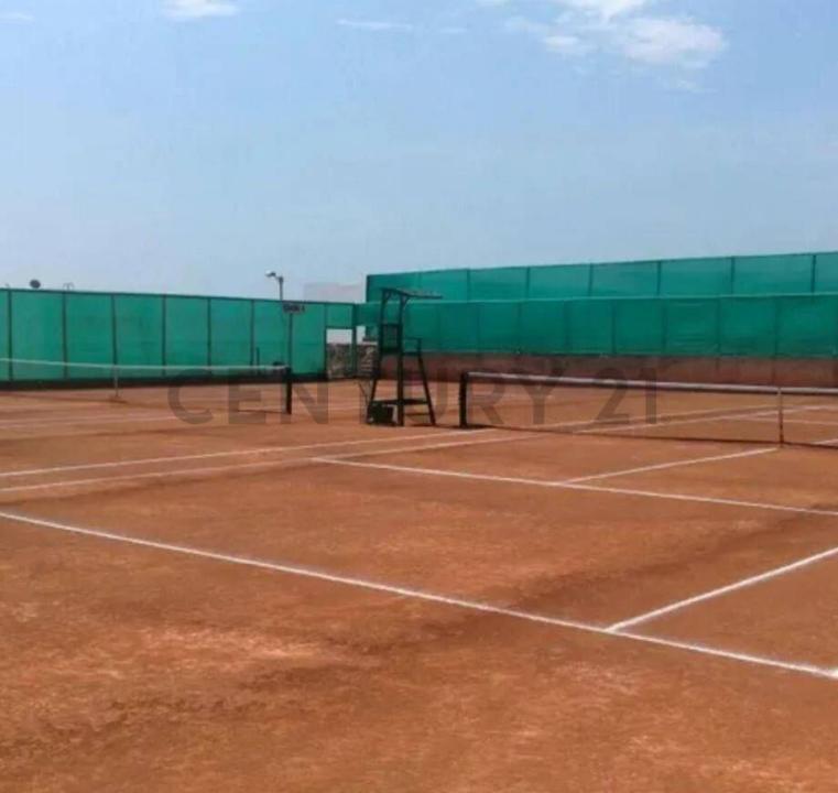 Las Palmeras , Cañete, Lima 00001, Peru