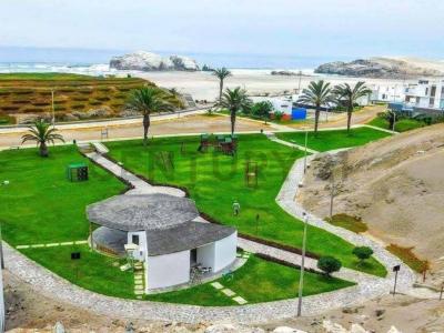 Las Palmeras , Cañete, Lima 00001, Peru