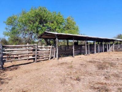 Villa Hayes, Presidente Hayes 00001, Le Paraguay