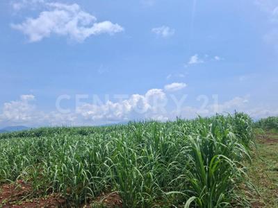 Cuauhtemoc, Colima 28523, México
